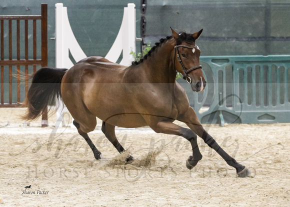 YHS24_4479