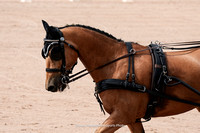 Kady25-5317