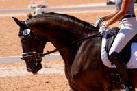 TIECAD2008-SP_2143