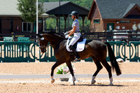 TIECAD2008-SP_2165