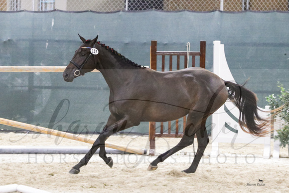YHS24_4822