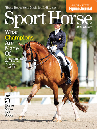 Sport Horse Cover