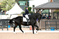 FallDressage4-202009