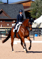 FallDressage4-201487