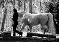 Western-_0259-2
