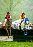 Steeple Chase - Editorial