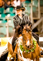 Horse & Rider STOCK Photos
