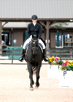 FallDressage4-202057