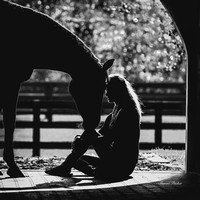 Equine Black & White
