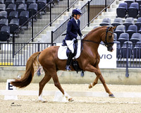 Tryon Fall Dressage 3 & 4 2024