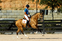 Mendoza Stallion