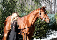 Western-_1125