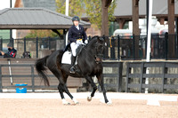 FallDressage4-202011
