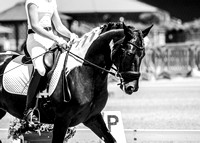 TSmD1_2_2021sp_2256-2