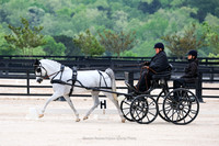 Kady25-2834