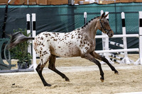 YHS24_4863
