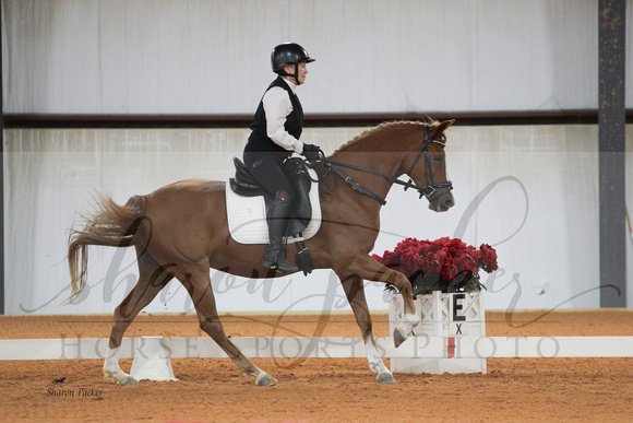 YHS24_3523