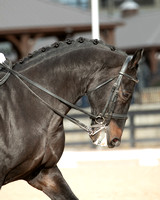 FallDressage4-202000