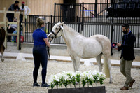 CPEDI-USEFChamps3320