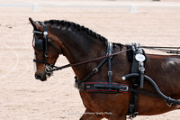 Kady25-0749