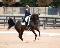 Tryon Fall Dressage 1 & 2 2024