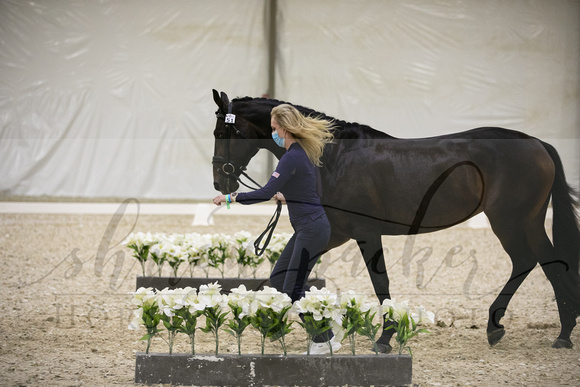 CPEDI-USEFChamps1176