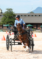 Tryon Fall Combined Driving Event 2022