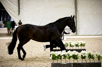 CPEDI-USEFChamps1174