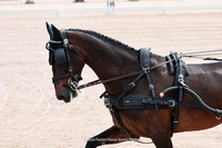 Kady25-0161