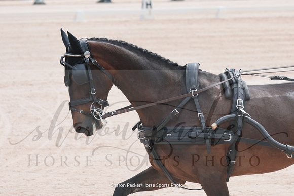 Kady25-0161