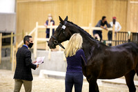 CPEDI-USEFChamps1170