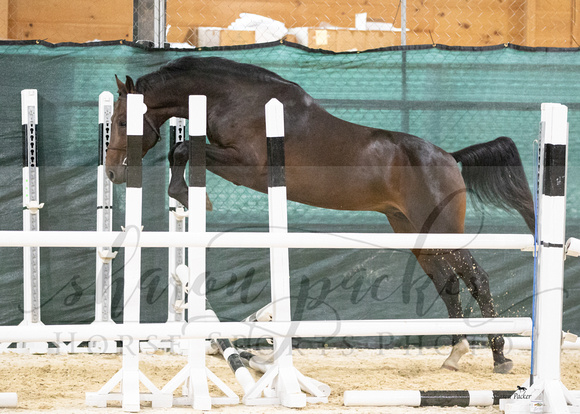 YHS24_0520