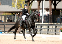 FallDressage4-202278