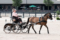 Kady25-6360