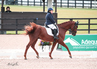 CPEDI_USEFNatCh21-197
