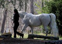 Western-_0259