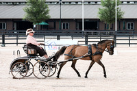 Kady25-6375