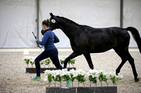 CPEDI-USEFChamps2653